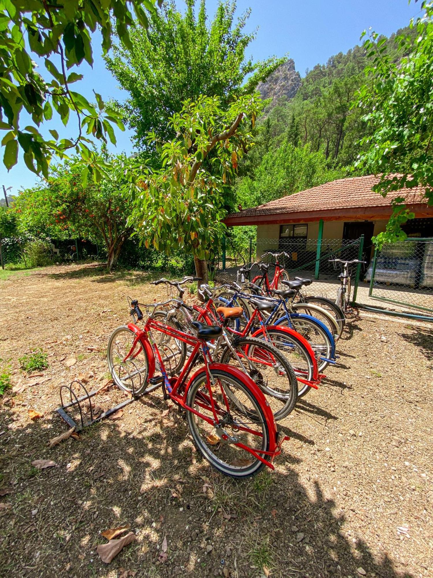 Canada Hotel & Bungalows Cirali Exterior photo